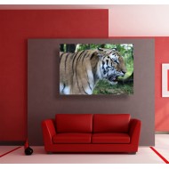 Πίνακας σε καμβά - Άγρια φύση 6